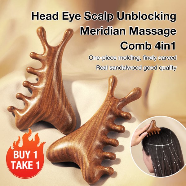 Head Eye Scalp Unblocking Meridian Massa..